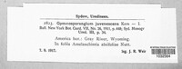 Gymnosporangium nidus-avis image